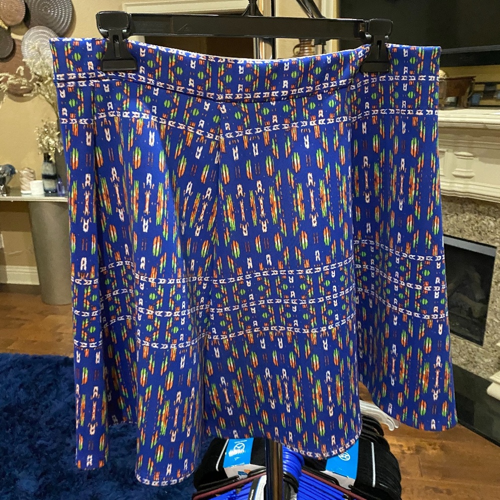 Multi Colored Mini Skirt